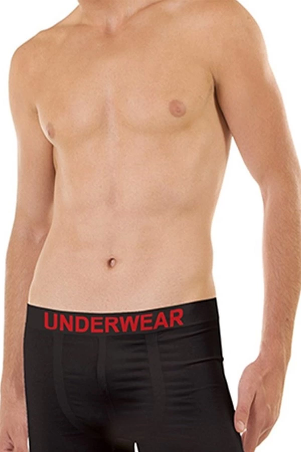 Elite Life Boxer Modal Lycra 905